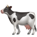 Own-Farm Milk
